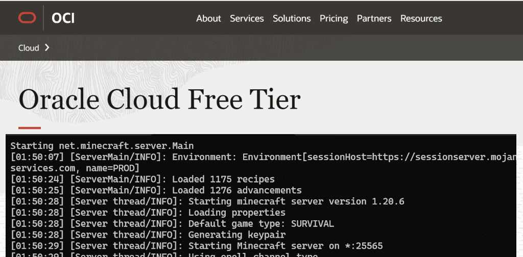 How Set Up a Free Vanilla Minecraft Server in 2024 | Jangro.com ...