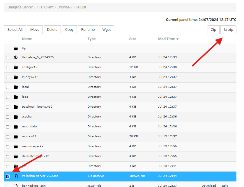 Web interface showing ZIP file extraction option for Minecraft server update