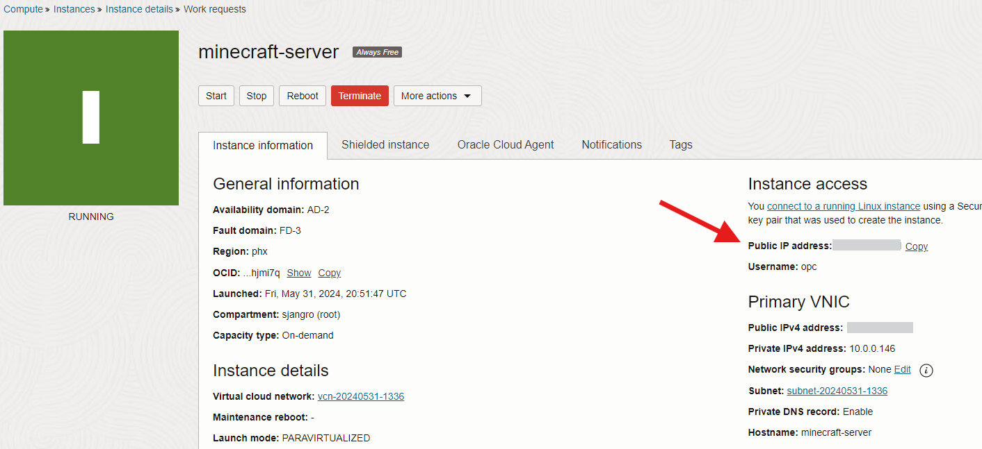 Oracle Cloud instance running with public IP