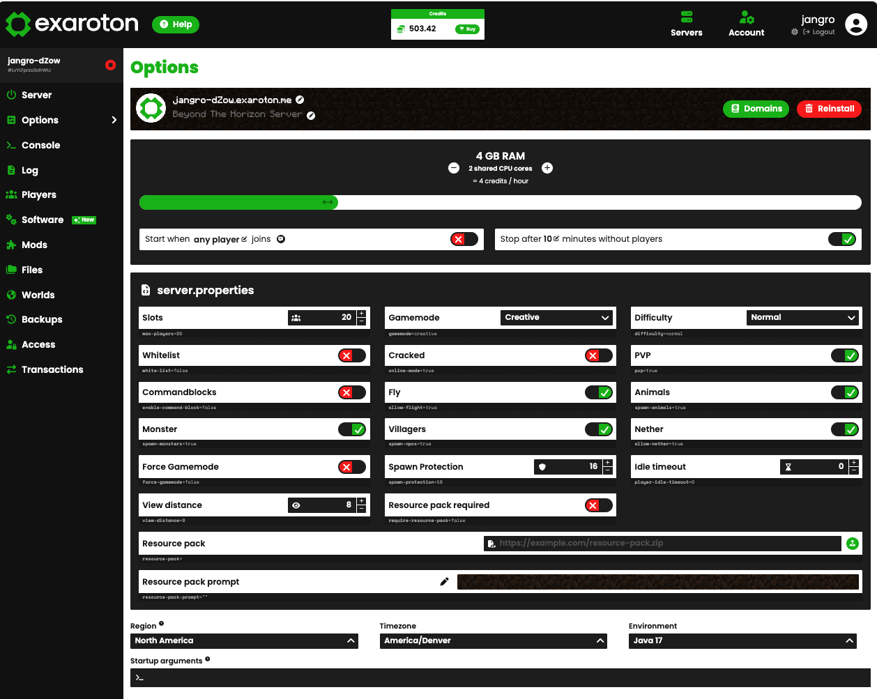 Server Options Overview
