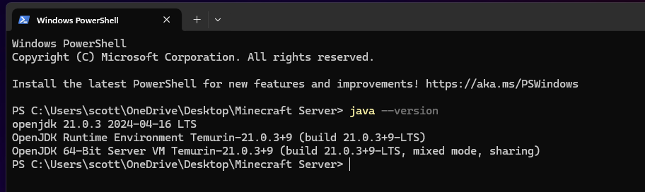 Terminal window showing Java version check command